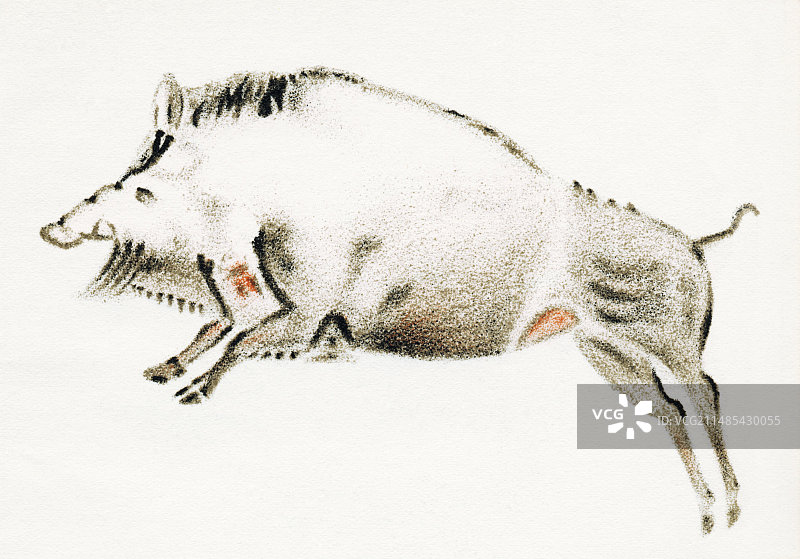 野猪洞穴壁画图片素材