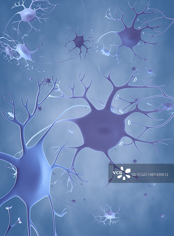 神经细胞艺术图图片素材