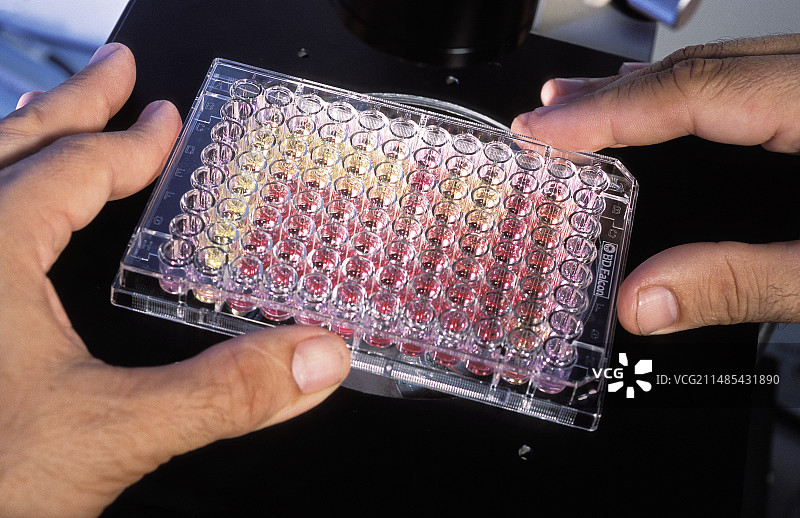 癌症研究图片素材