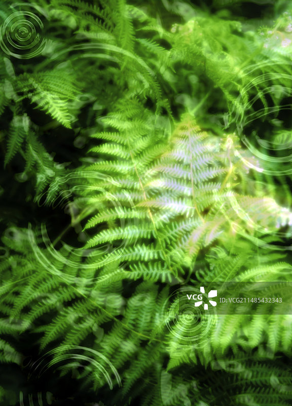 环保概念图片素材