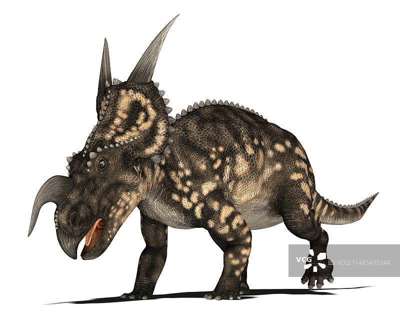 埃尼俄龙恐龙，艺术作品图片素材