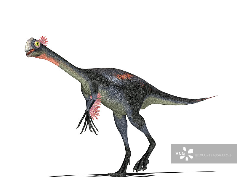 埃尼俄龙恐龙，艺术作品图片素材