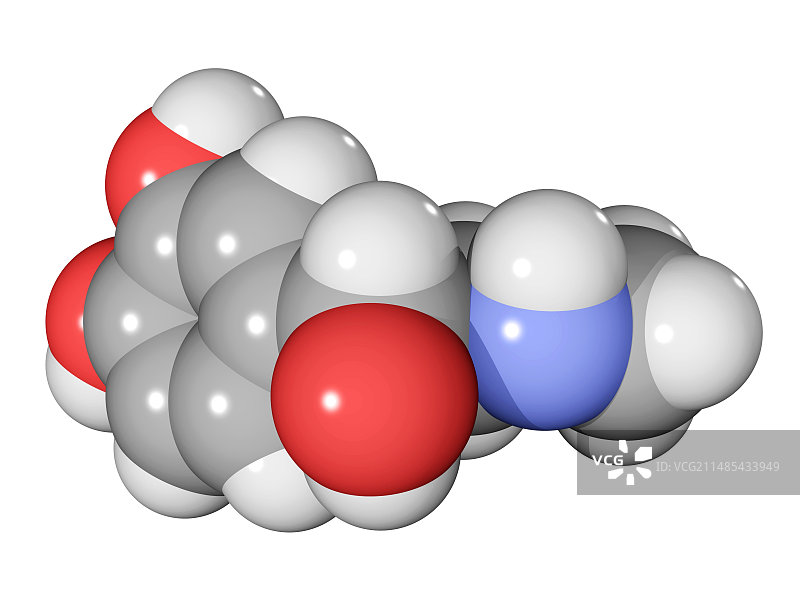 肾上腺素激素分子图片素材