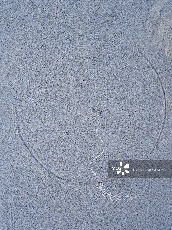 沙丘中的沙圈图片素材