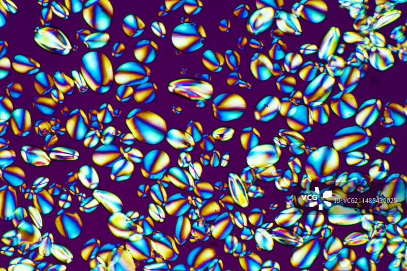 淀粉颗粒显微照片图片素材