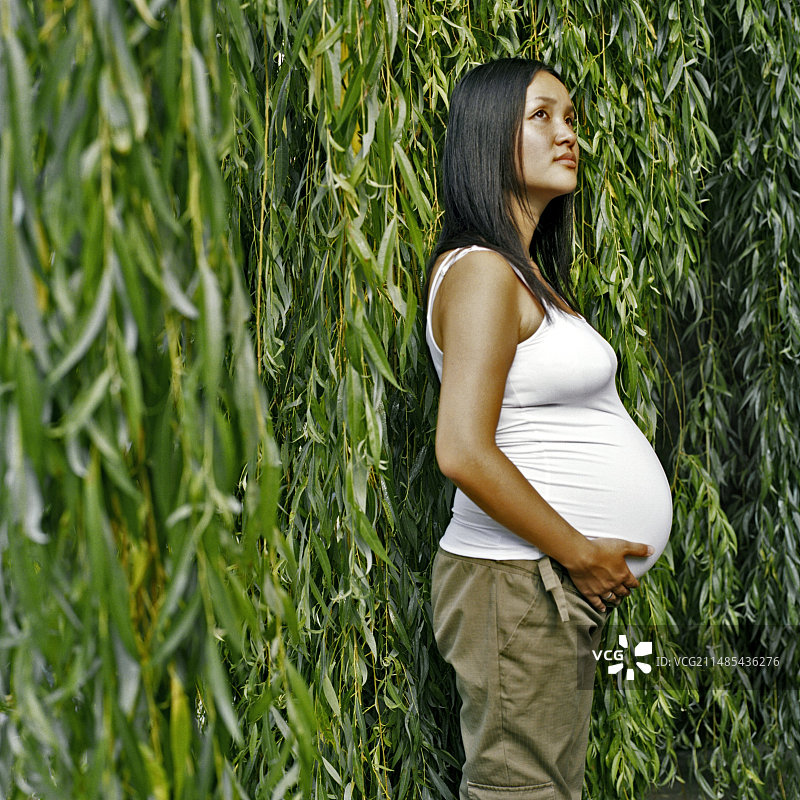孕妇图片素材