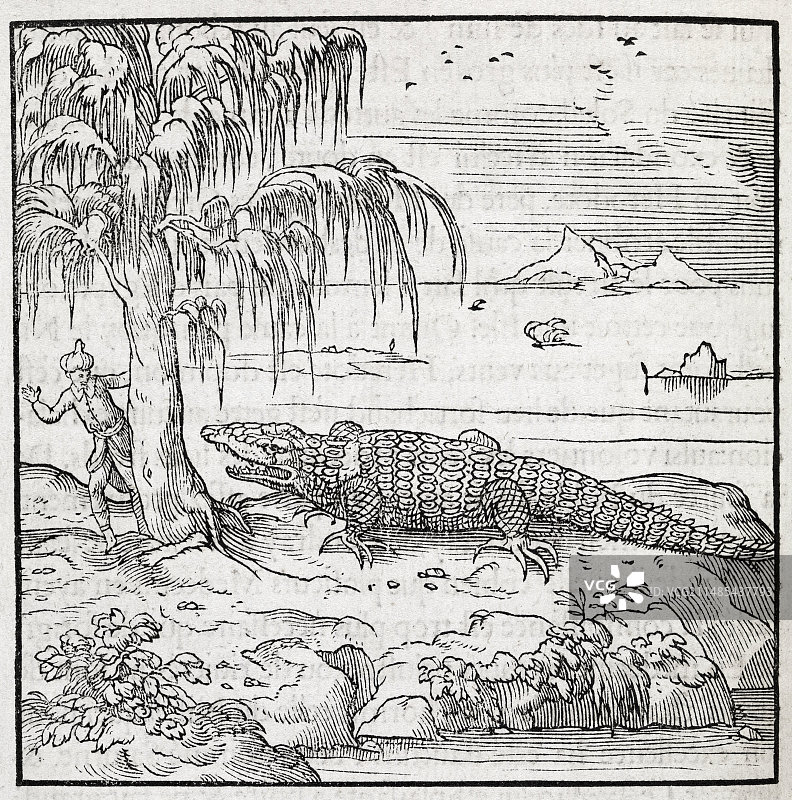 16世纪的尼罗鳄艺术作品图片素材