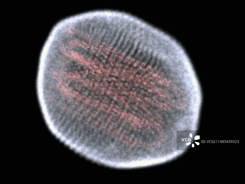 流感病毒颗粒艺术图图片素材
