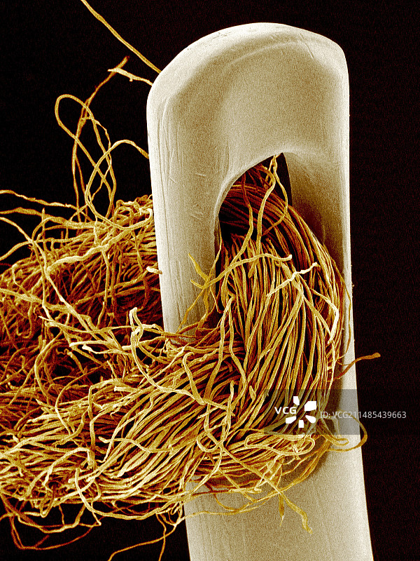 针和线扫描电镜图图片素材