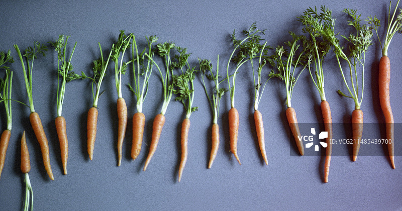 胡萝卜图片素材