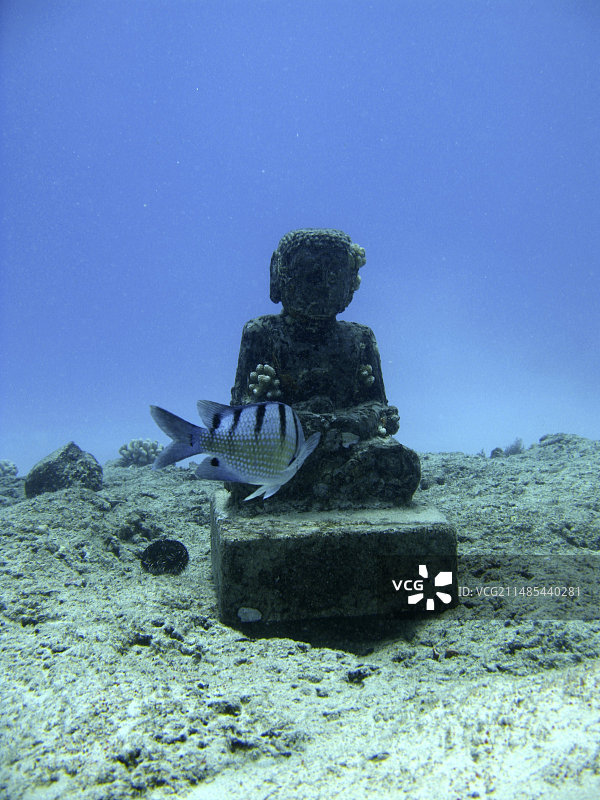 夏威夷水下雕像图片素材