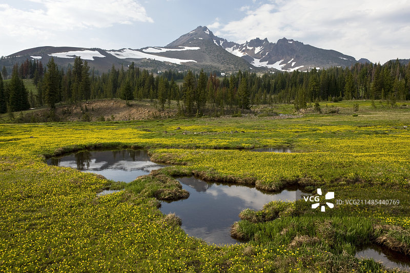 山草甸图片素材