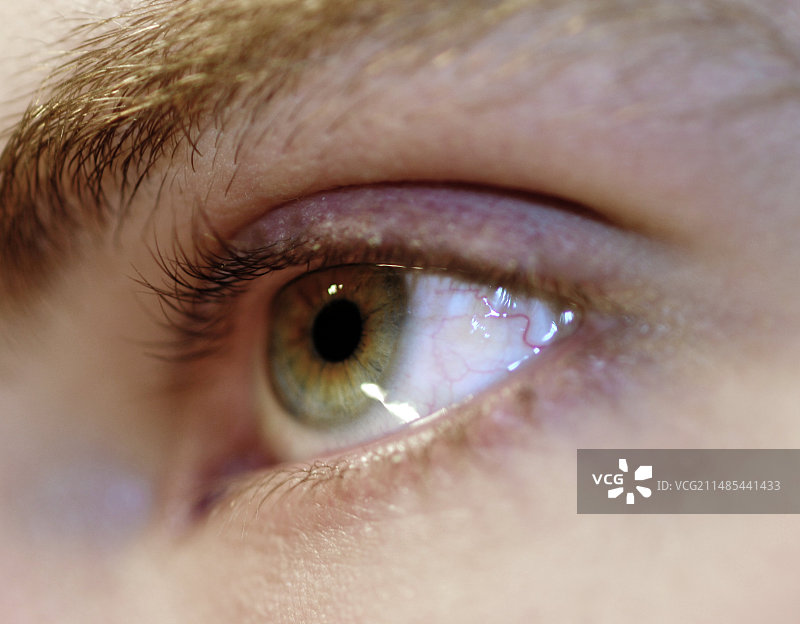 男人的眼睛图片素材