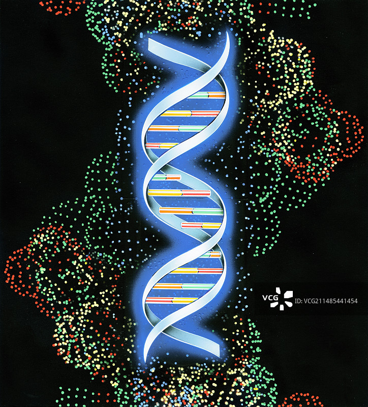 DNA分子图片素材