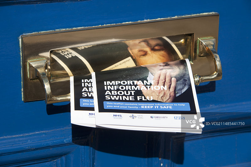 猪流感信息传单图片素材