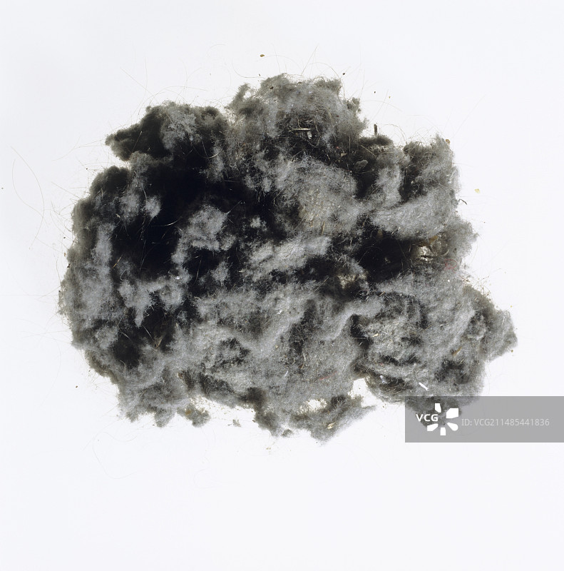 家庭灰尘图片素材