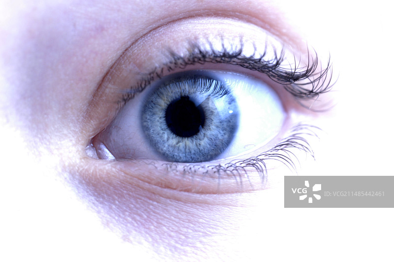 眼睛图片素材