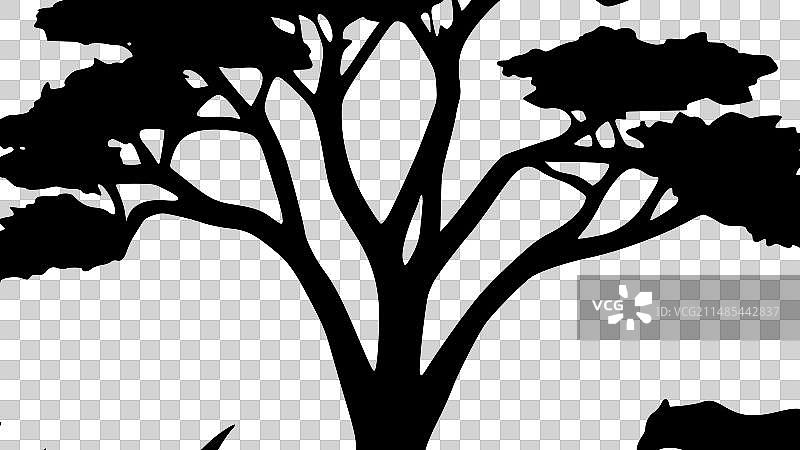 非洲 - 黑白隔离图标图片素材