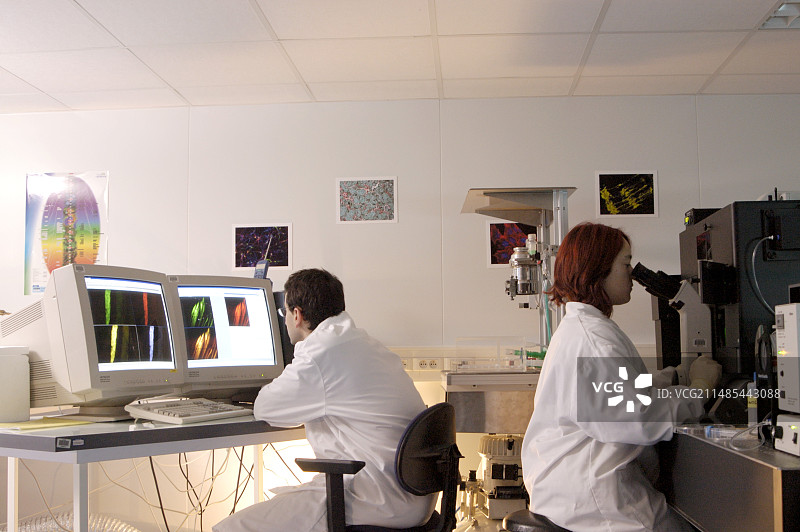 生物研究图片素材