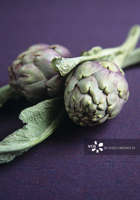 朝鲜蓟图片素材