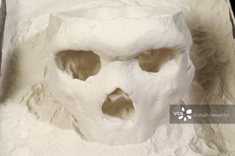 3D人科动物头骨模型图片素材