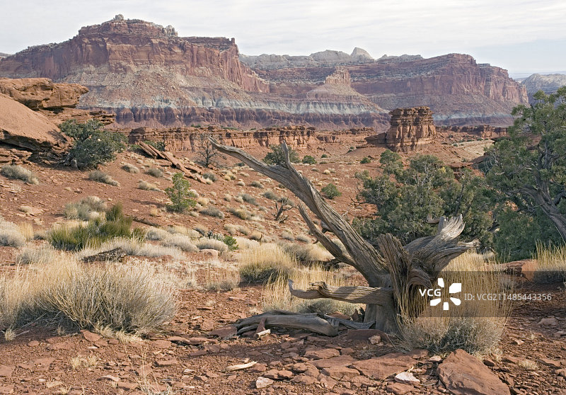 美国犹他州国会礁国家公园图片素材