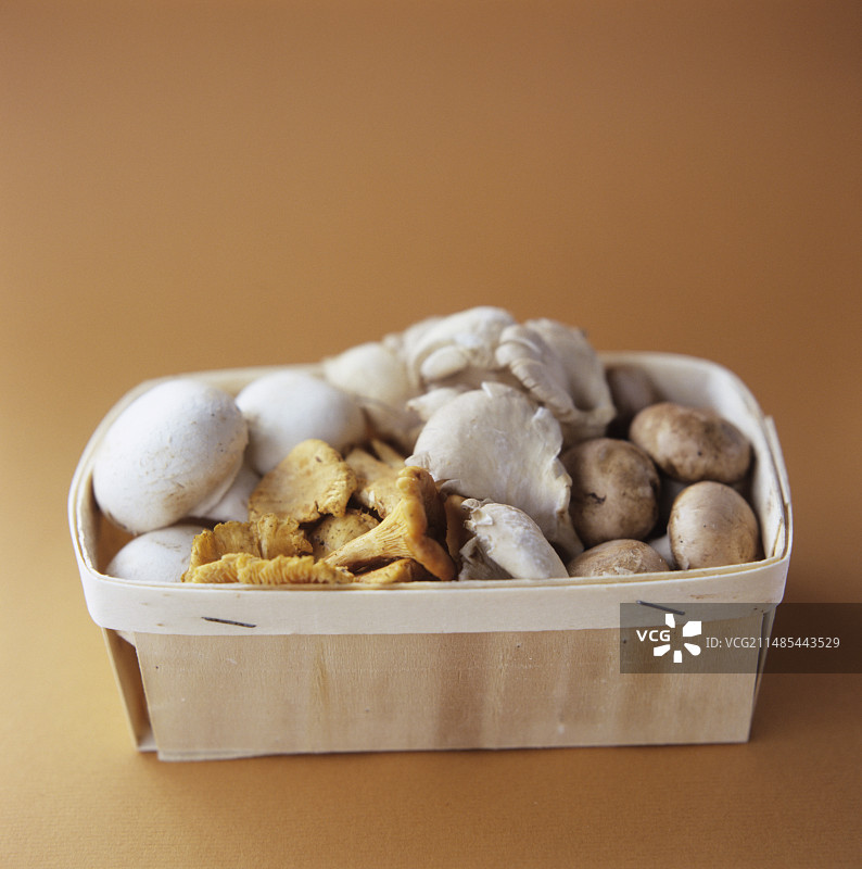什锦蘑菇图片素材