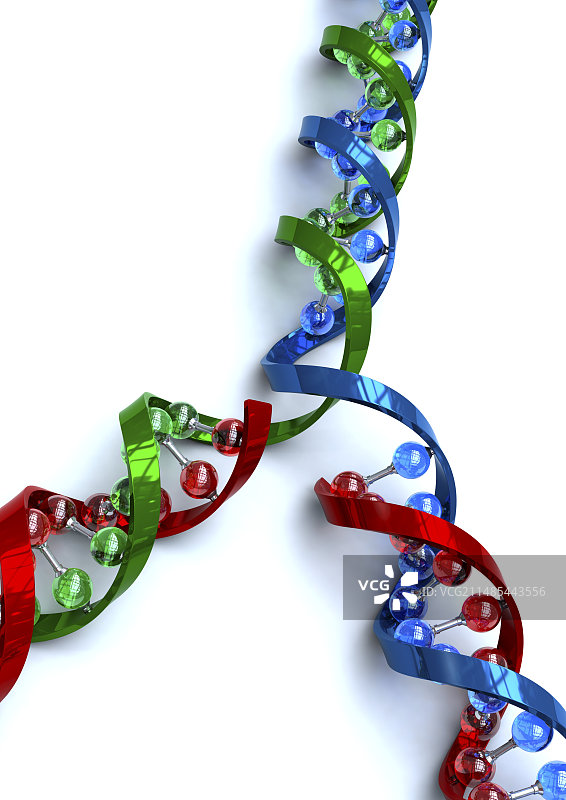 DNA复制，艺术作品图片素材