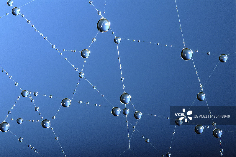 蜘蛛网上的露珠图片素材