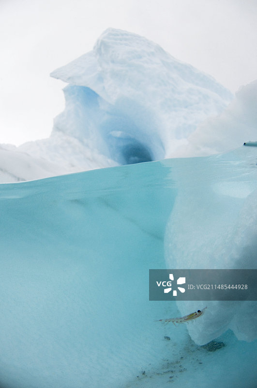 南极磷虾冰山图片素材