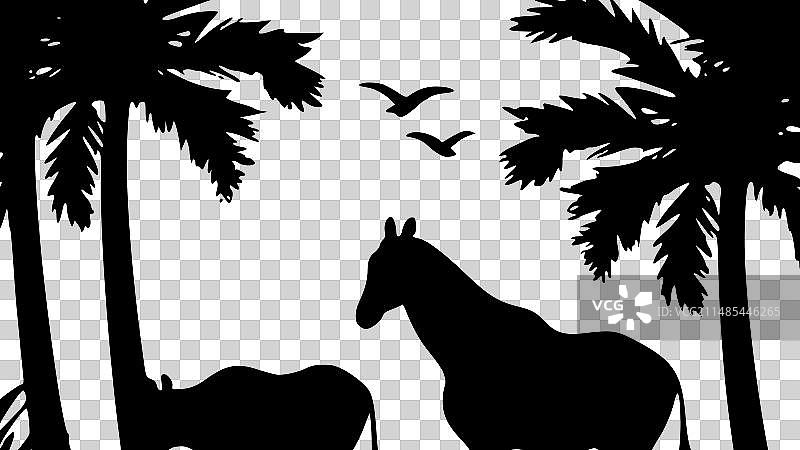 非洲高品质logo设计，适用于T恤图片素材