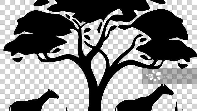 非洲黑白照片图片素材