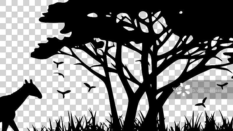 非洲黑白照片图片素材