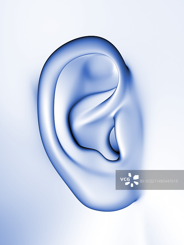 人耳图片素材