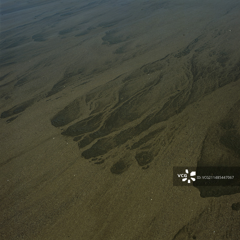 海滩上的污水图片素材