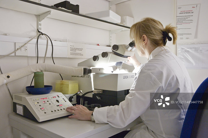 组织切片图片素材