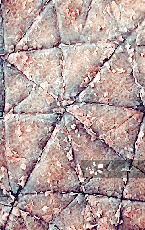 人类皮肤表面，扫描电子显微镜图图片素材