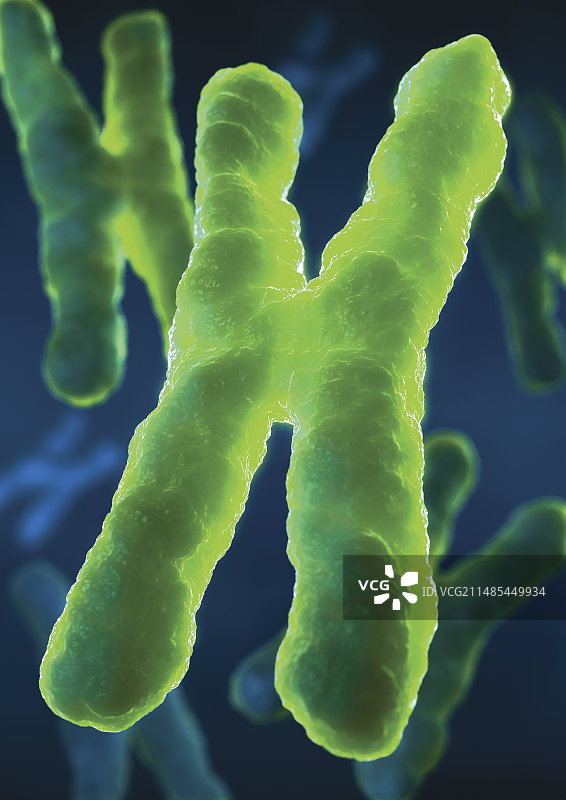 染色体艺术图图片素材
