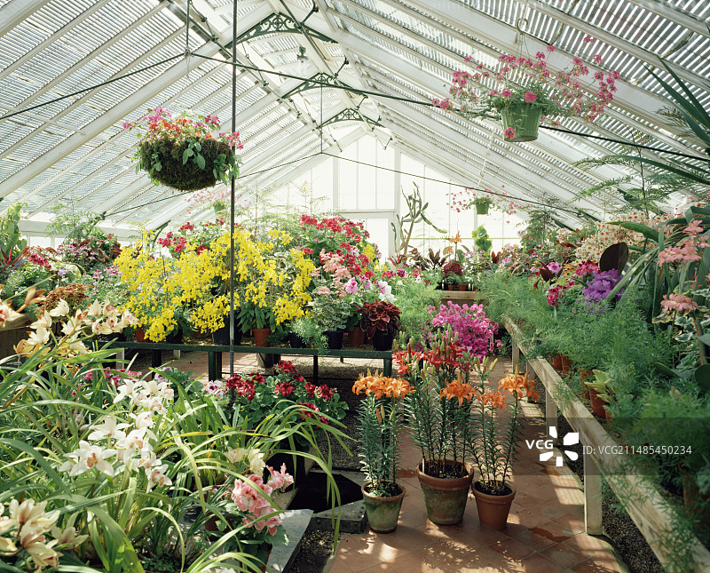 玻璃温室图片素材