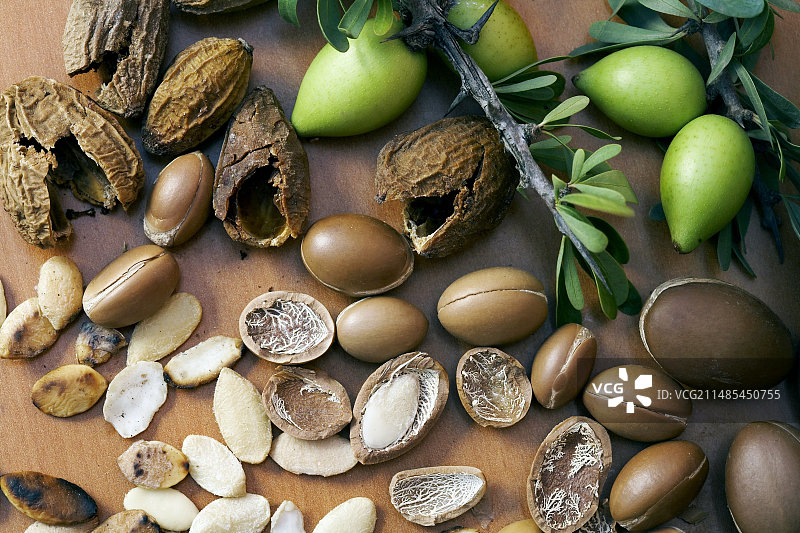 摩洛哥坚果树坚果图片素材