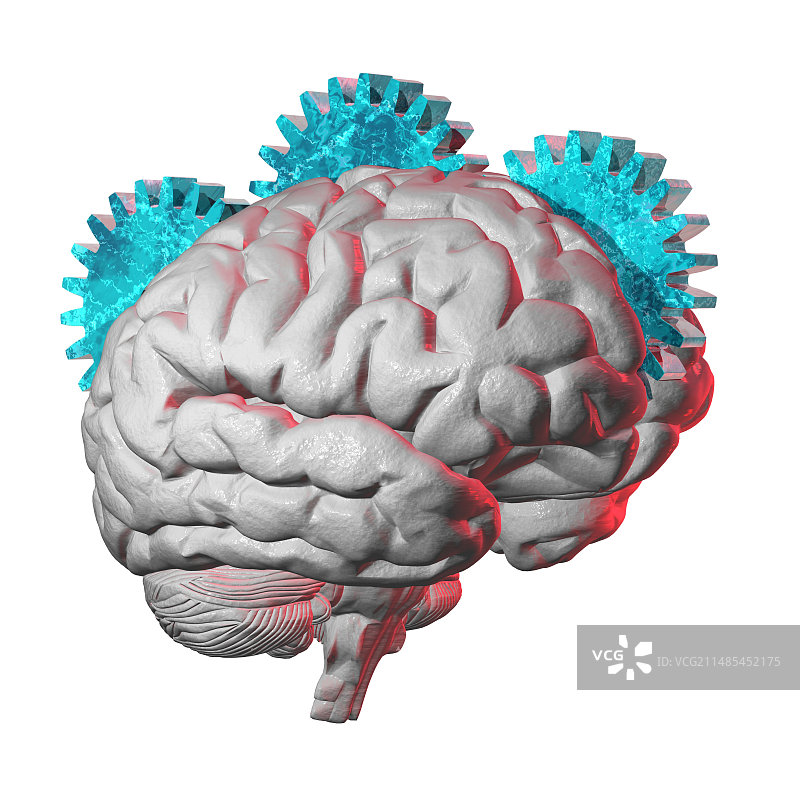 大脑功能概念图图片素材