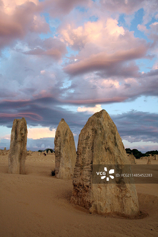澳大利亚的石灰岩尖峰图片素材