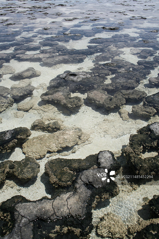 澳大利亚叠层石图片素材