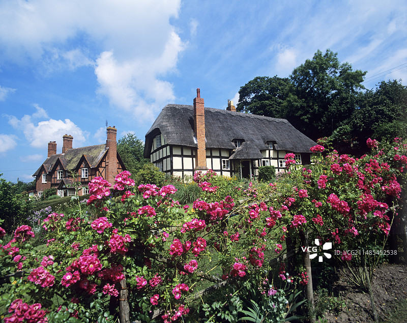 小屋外的鲜花图片素材