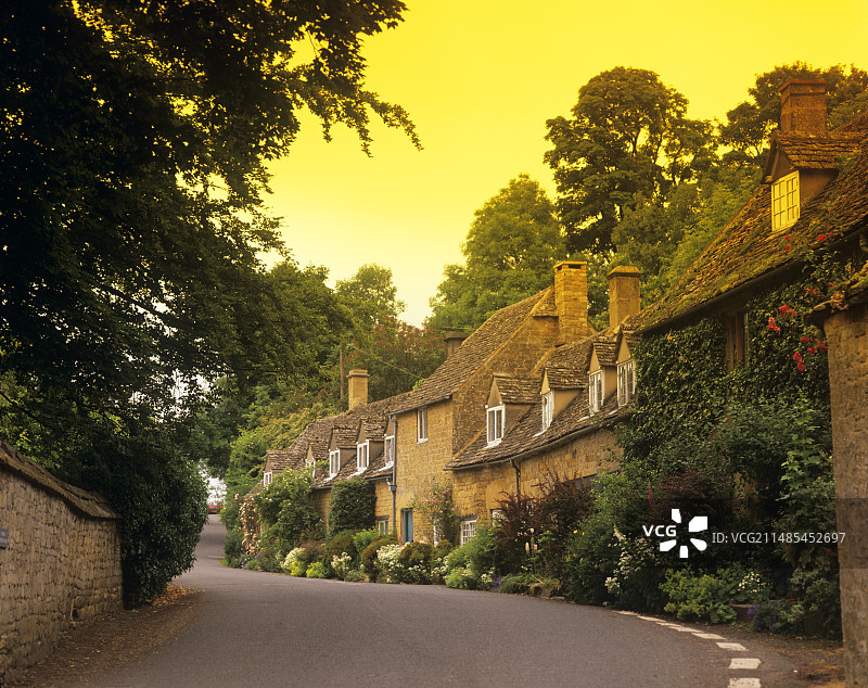 小屋外的植物图片素材