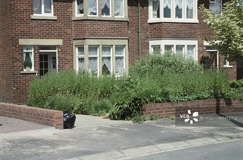 被忽视的花园图片素材