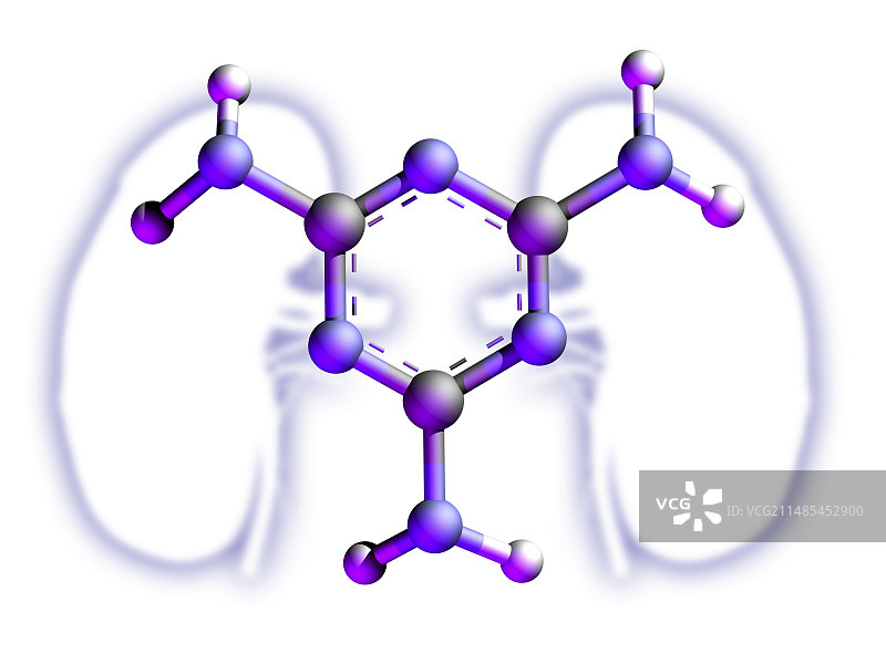 三聚氰胺与肾脏，艺术作品图片素材