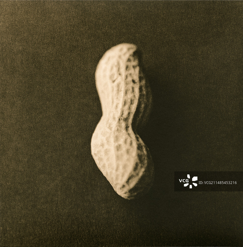 带壳花生图片素材