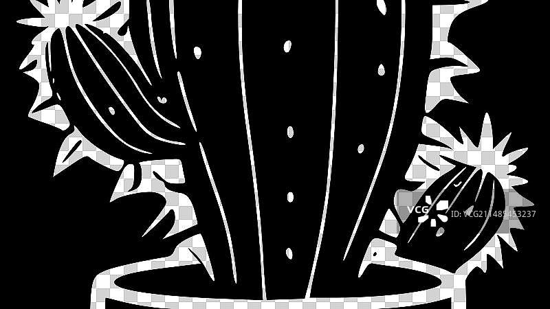 仙人掌黑白隔离图标图片素材