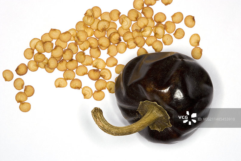 cascabel辣椒、果实和种子图片素材